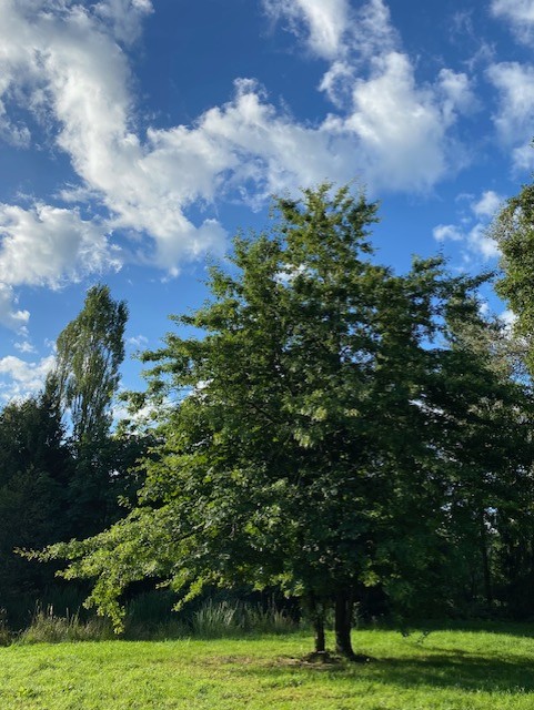 Retraite Spreeuw Natuurcoach